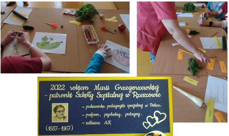 M. Grzegorzewska LW