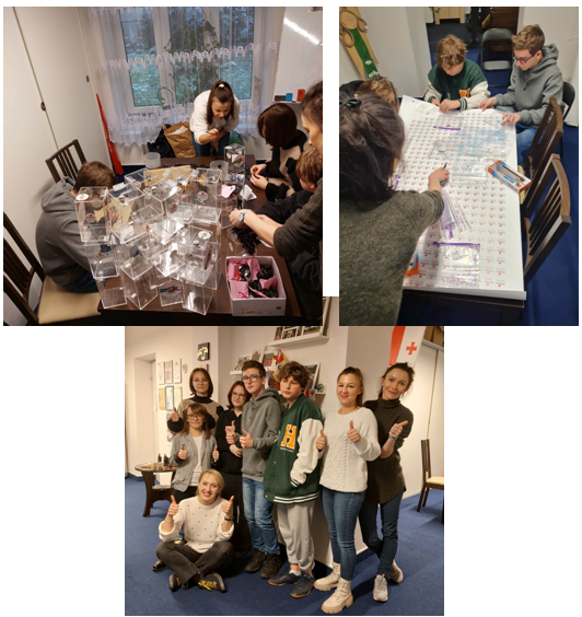 wolontariat